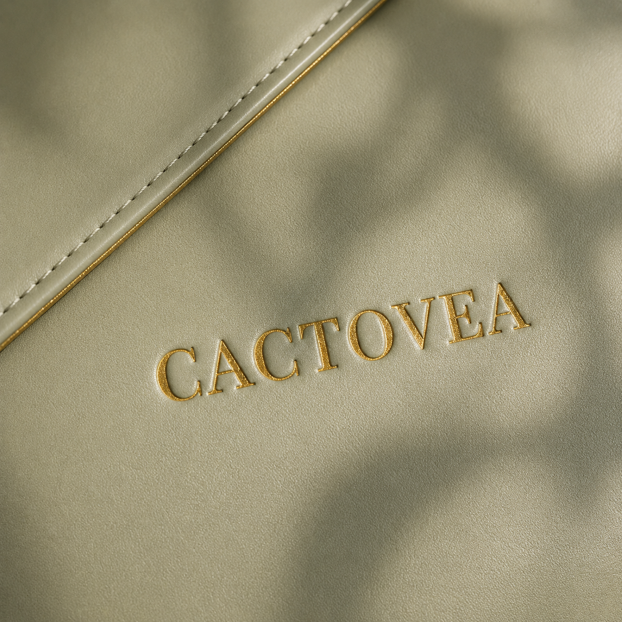 Cactovea Asset