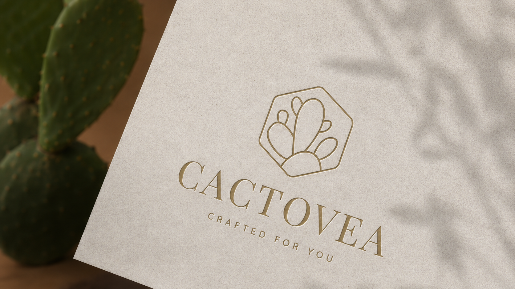 Cactovea Preview